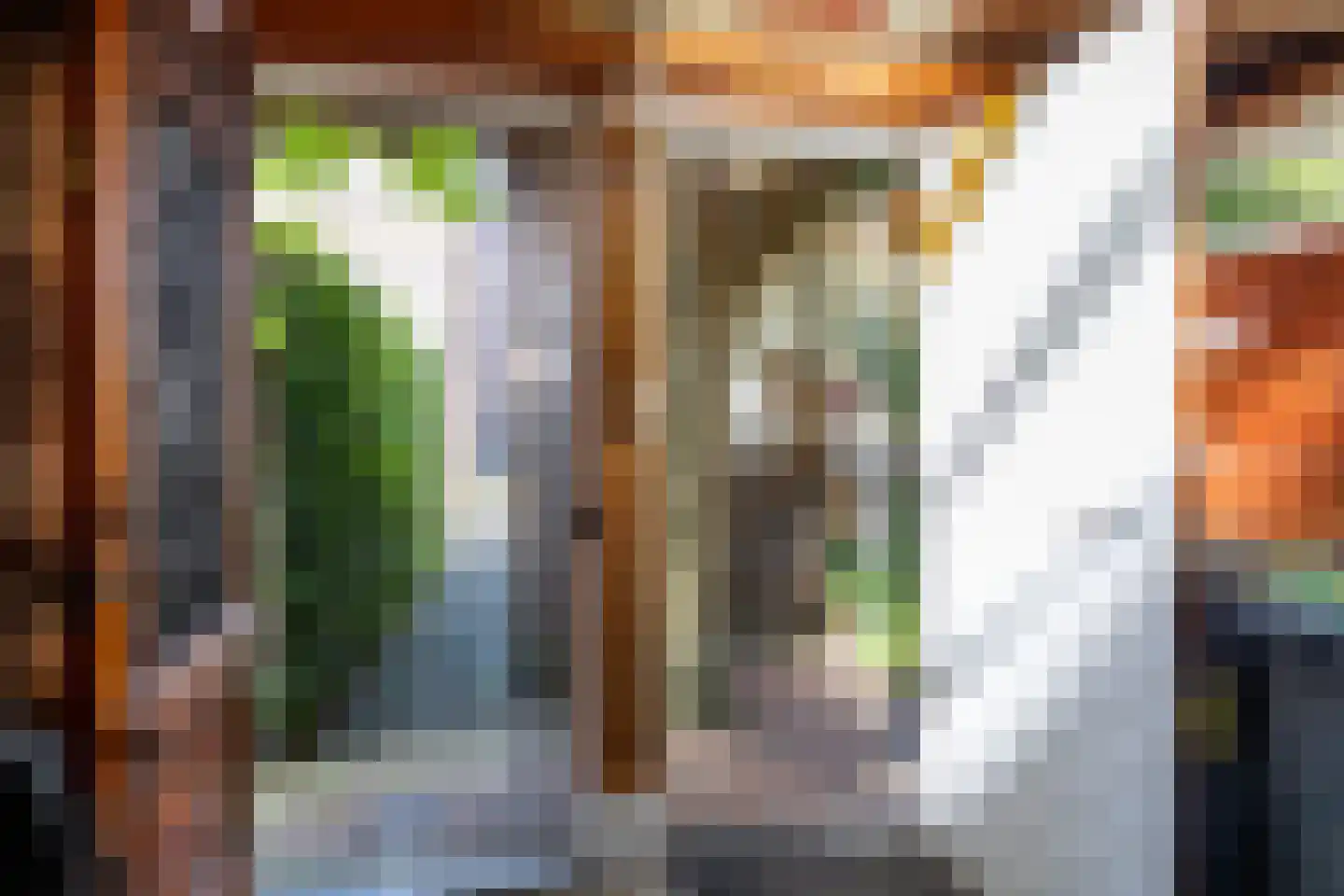 Karnemelksloot 108 Gouda thumbnail 40