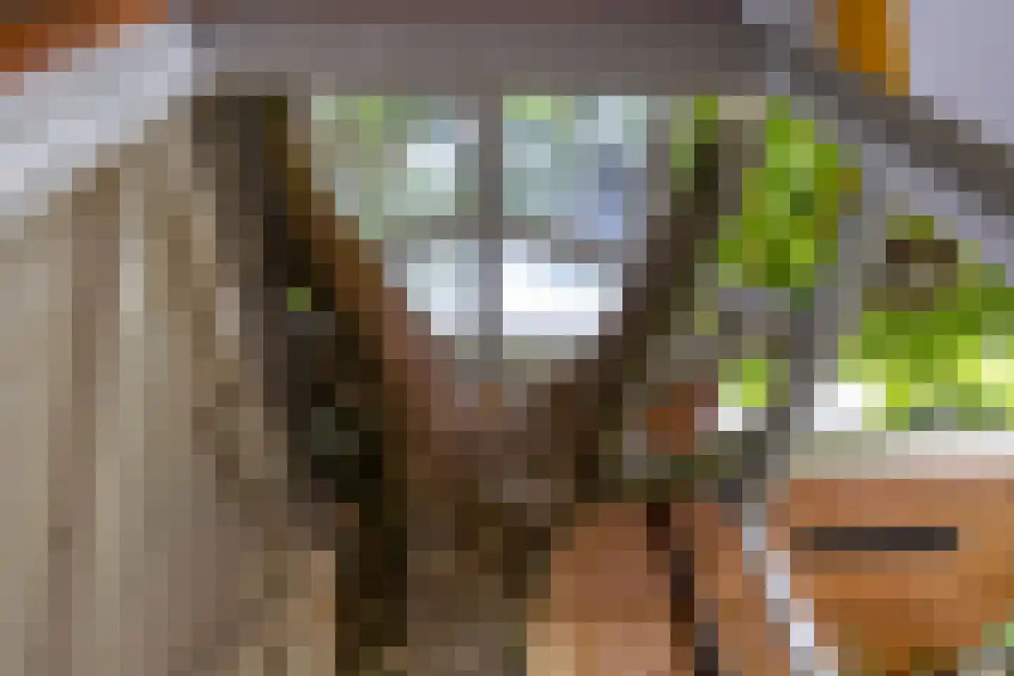 Karnemelksloot 108 Gouda thumbnail 41
