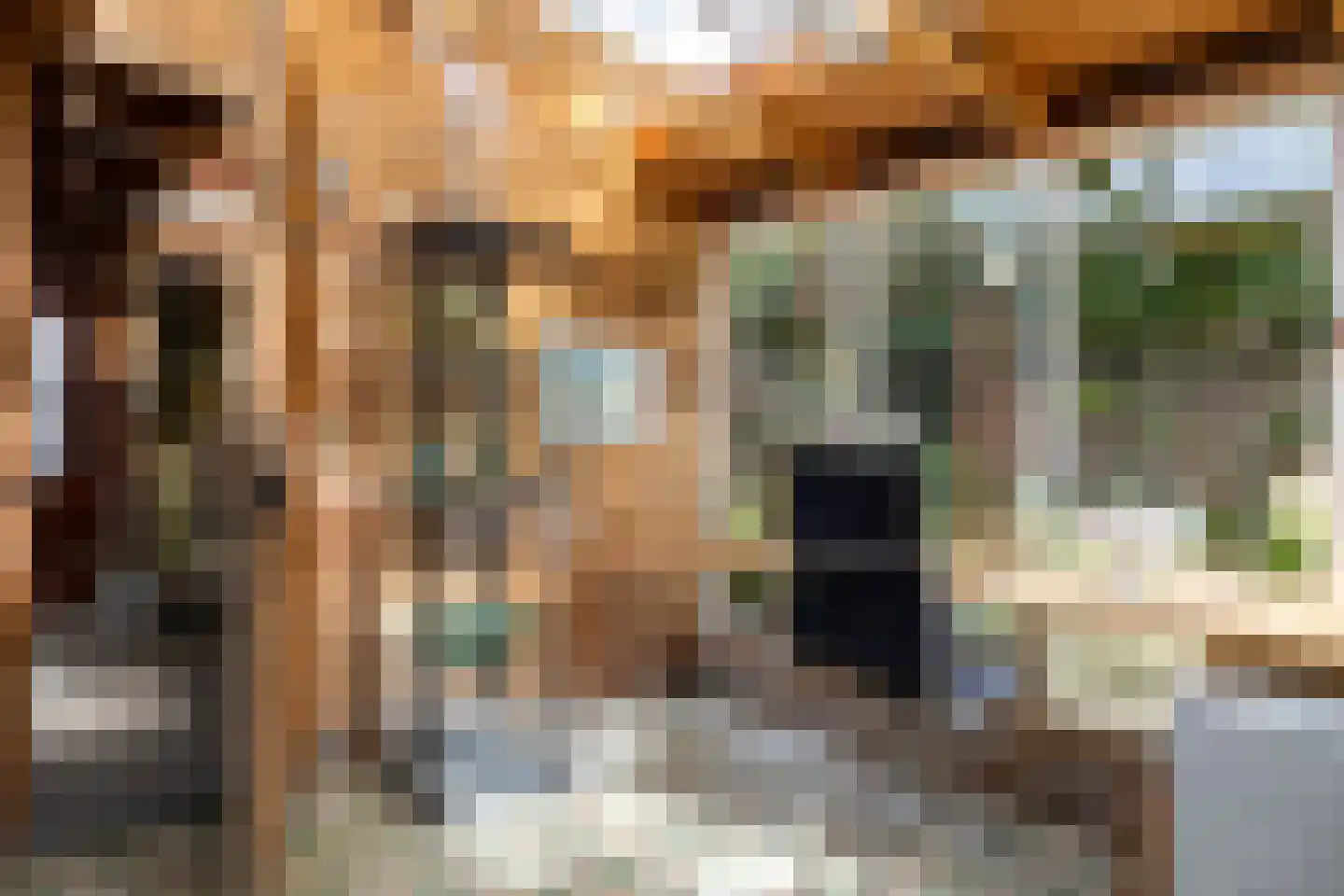 Karnemelksloot 108 Gouda thumbnail 42