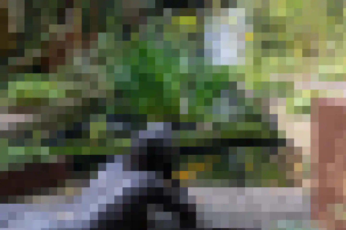 Karnemelksloot 108 Gouda thumbnail 48