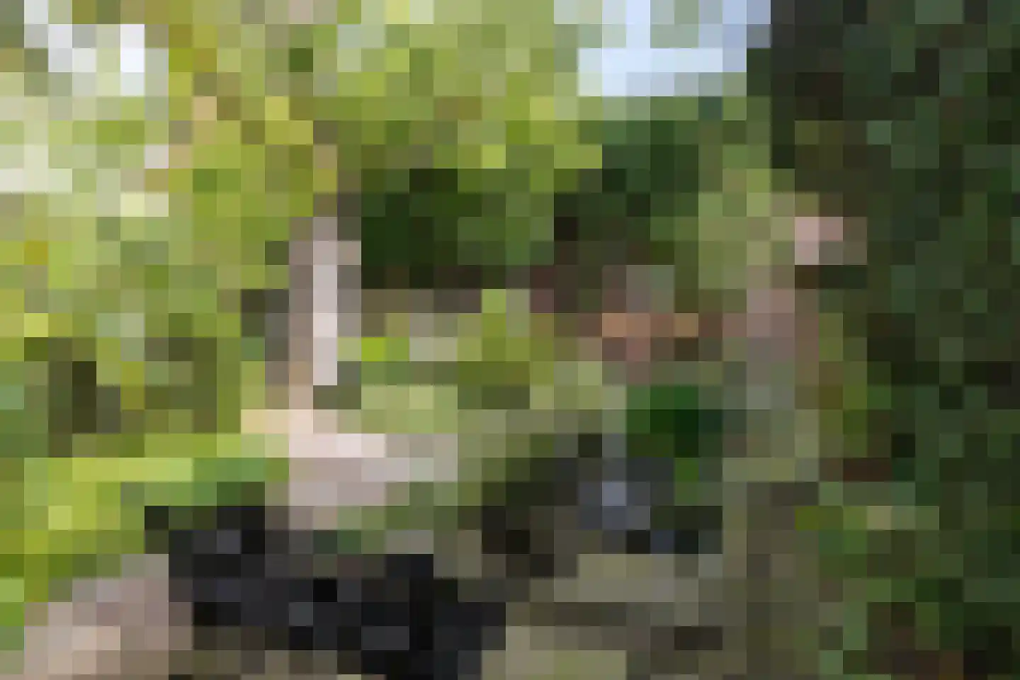 Karnemelksloot 108 Gouda thumbnail 6