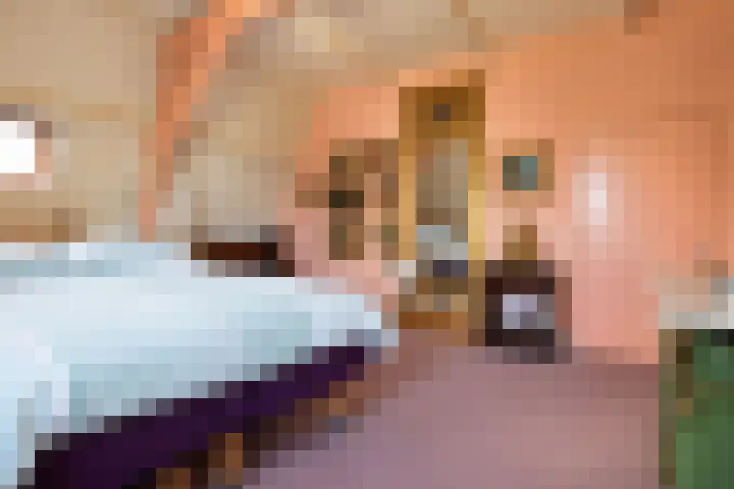 Karnemelksloot 108 Gouda thumbnail 64