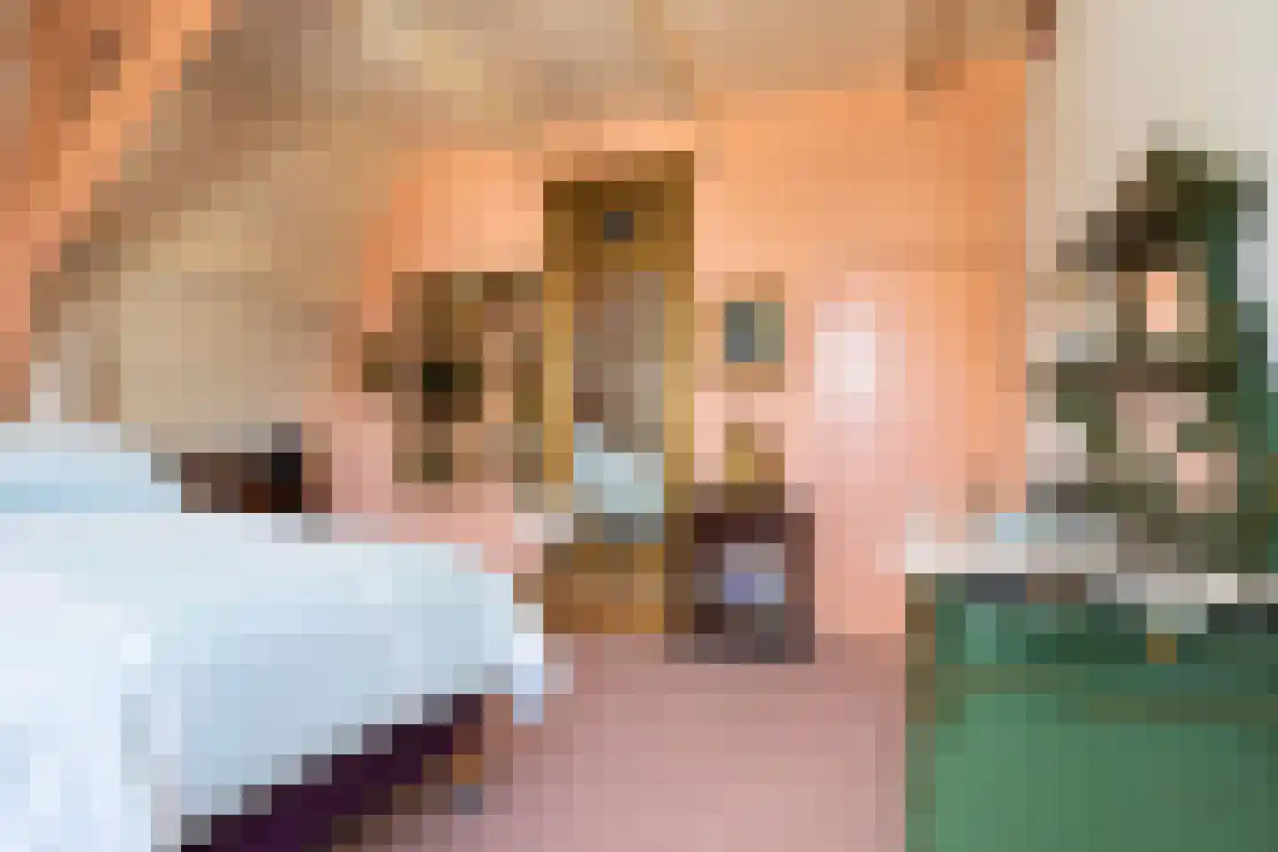 Karnemelksloot 108 Gouda thumbnail 65