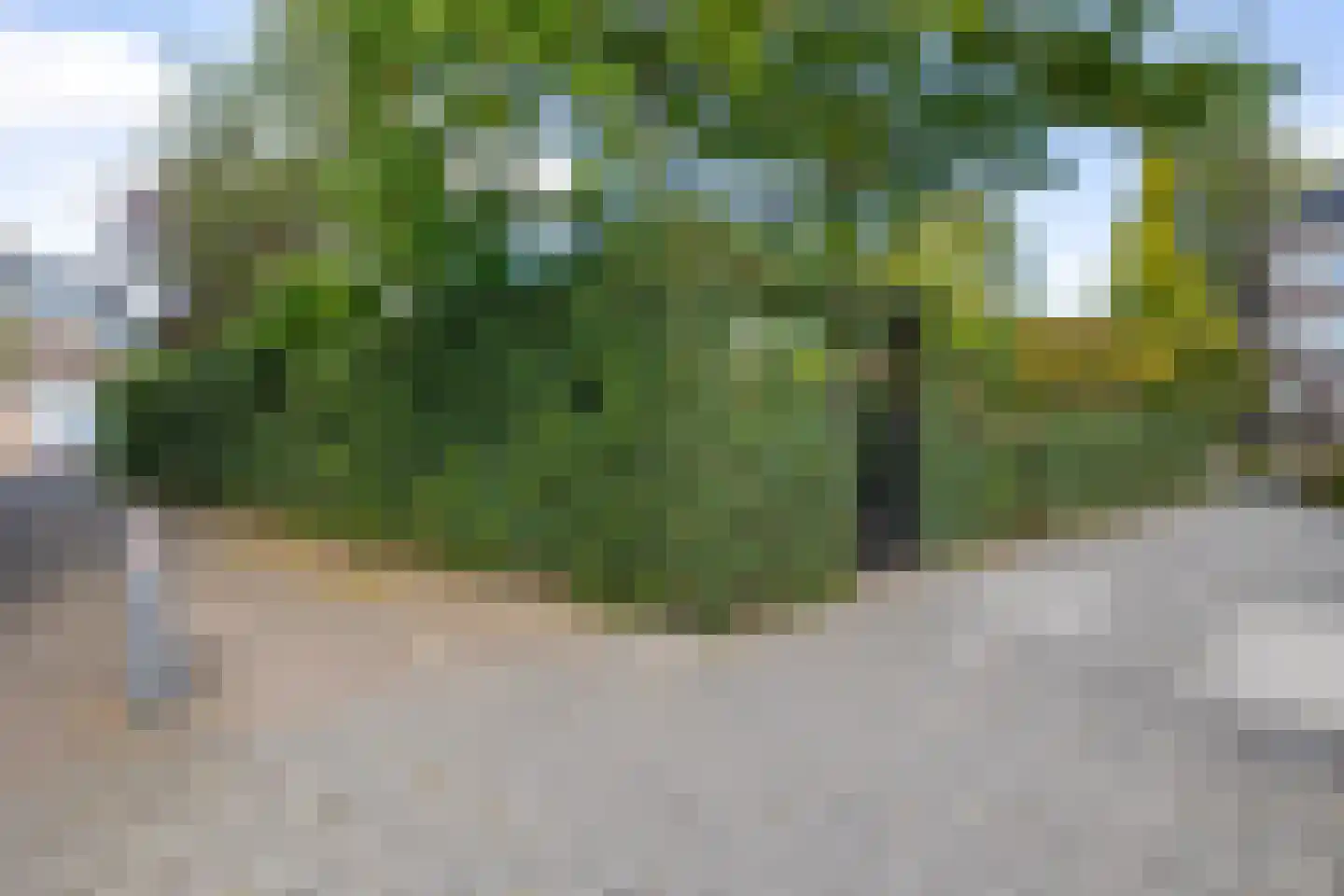 Karnemelksloot 108 Gouda thumbnail 68