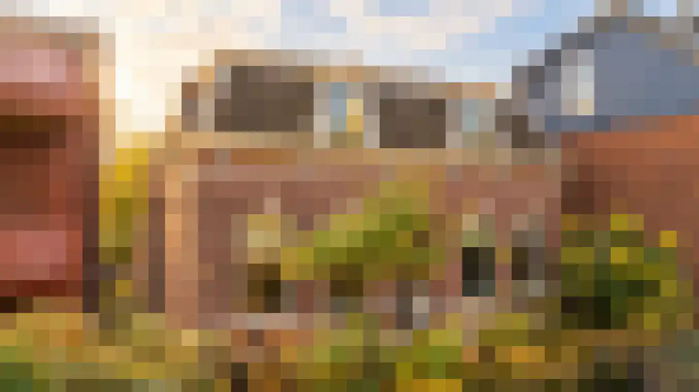 Karnemelksloot 108 Gouda thumbnail 7