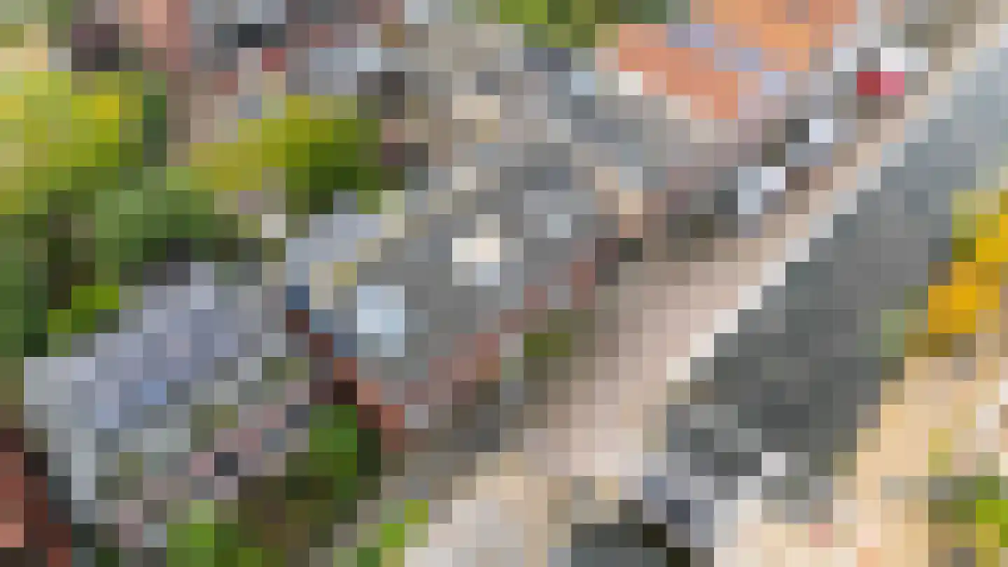 Karnemelksloot 108 Gouda thumbnail 72