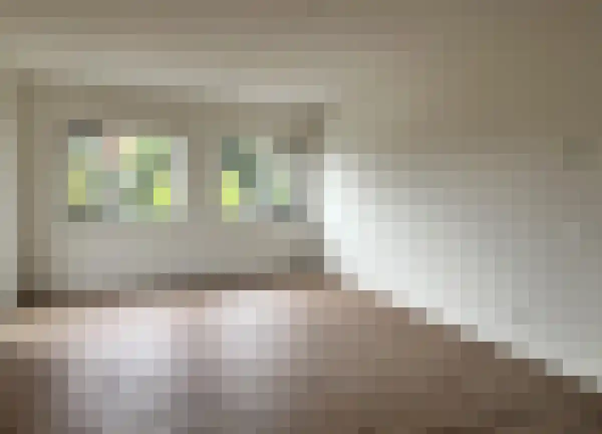 Karnemelksloot 110 g Gouda thumbnail 6
