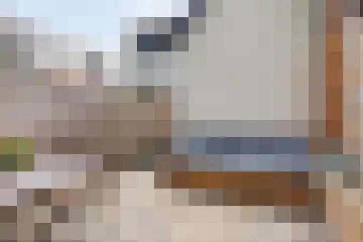 Karnemelksloot 117 Gouda thumbnail 11