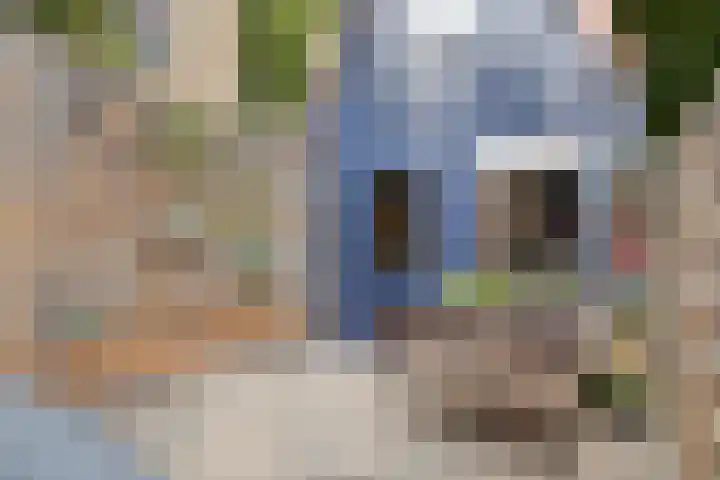 Karnemelksloot 117 Gouda thumbnail 12