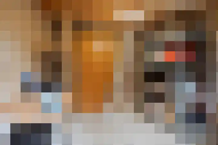 Karnemelksloot 117 Gouda thumbnail 13