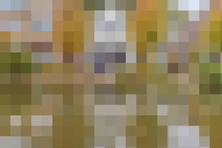 Karnemelksloot 117 Gouda thumbnail 22