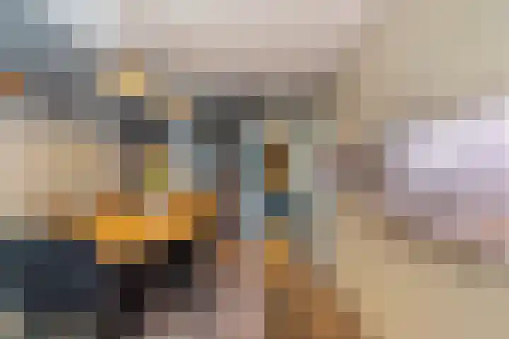 Karnemelksloot 117 Gouda thumbnail 5