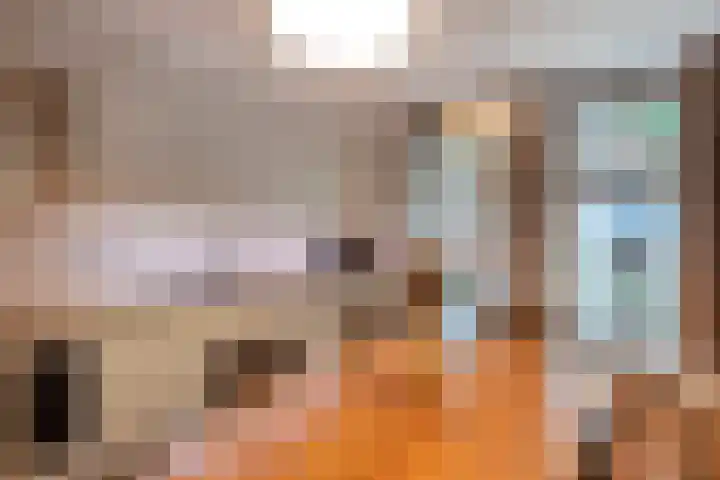 Karnemelksloot 117 Gouda thumbnail 7