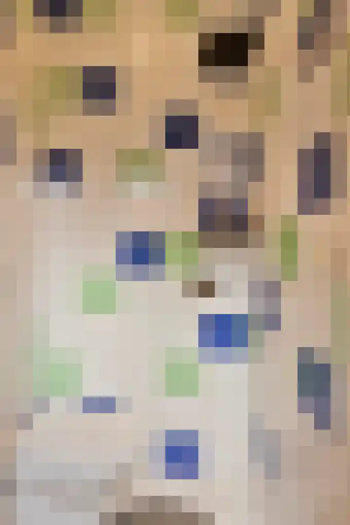 Karnemelksloot 117 Gouda thumbnail 9