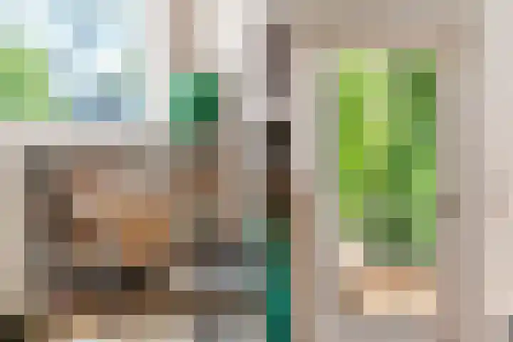 Karnemelksloot 14 a Gouda thumbnail 11