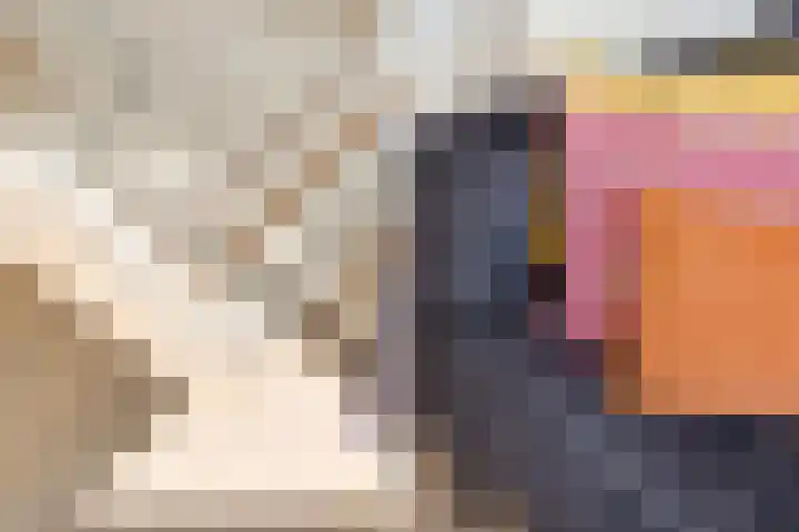 Karnemelksloot 14 a Gouda thumbnail 12