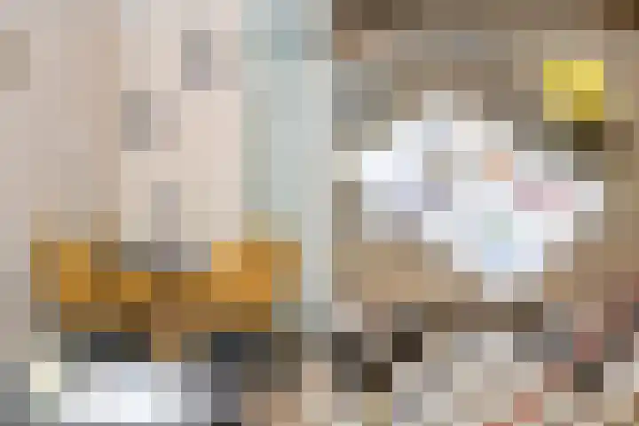 Karnemelksloot 14 a Gouda thumbnail 15