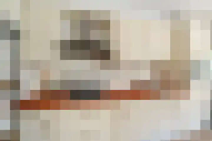 Karnemelksloot 14 a Gouda thumbnail 17