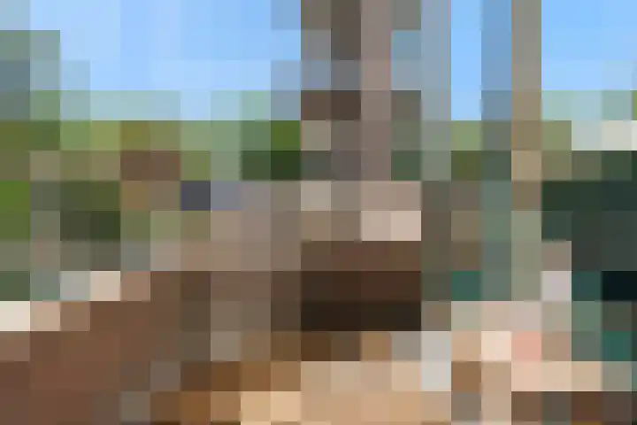 Karnemelksloot 14 a Gouda thumbnail 20