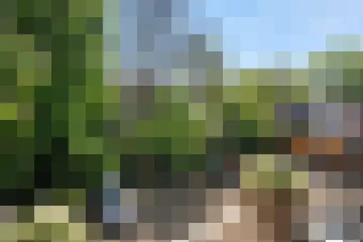 Karnemelksloot 14 a Gouda thumbnail 22