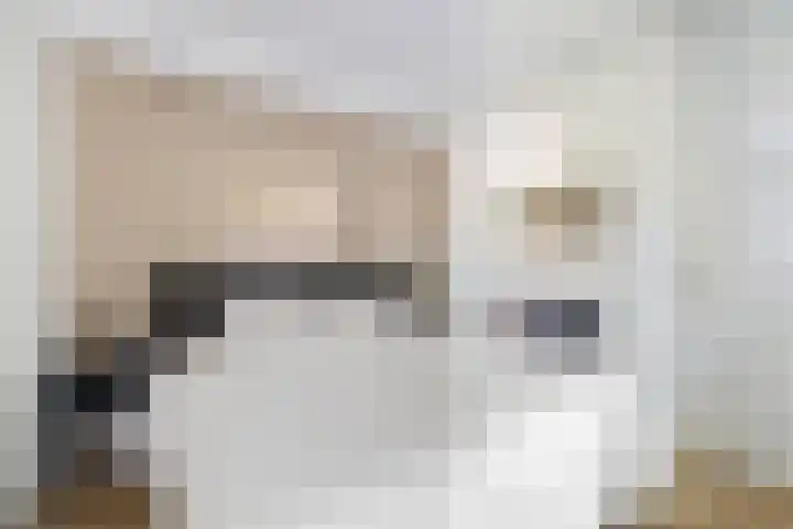 Karnemelksloot 14 a Gouda thumbnail 25