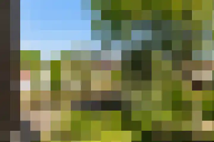 Karnemelksloot 14 a Gouda thumbnail 29