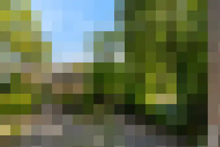Karnemelksloot 14 a Gouda thumbnail 30