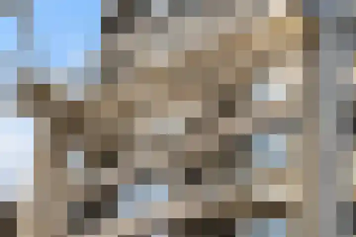 Karnemelksloot 14 a Gouda thumbnail 35