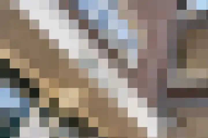 Karnemelksloot 14 a Gouda thumbnail 39