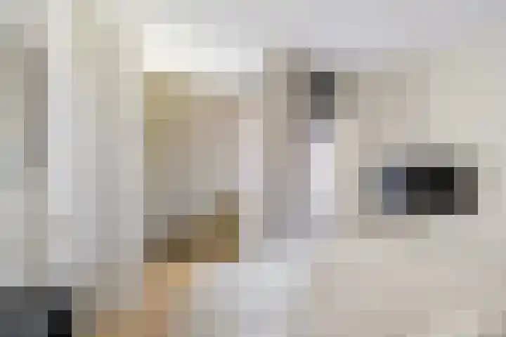 Karnemelksloot 14 a Gouda thumbnail 4
