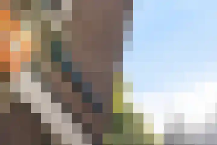 Karnemelksloot 14 a Gouda thumbnail 41