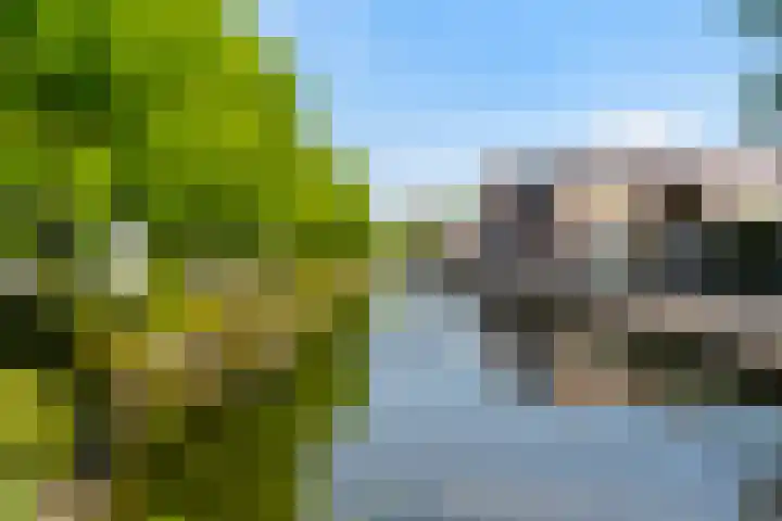 Karnemelksloot 14 a Gouda thumbnail 42