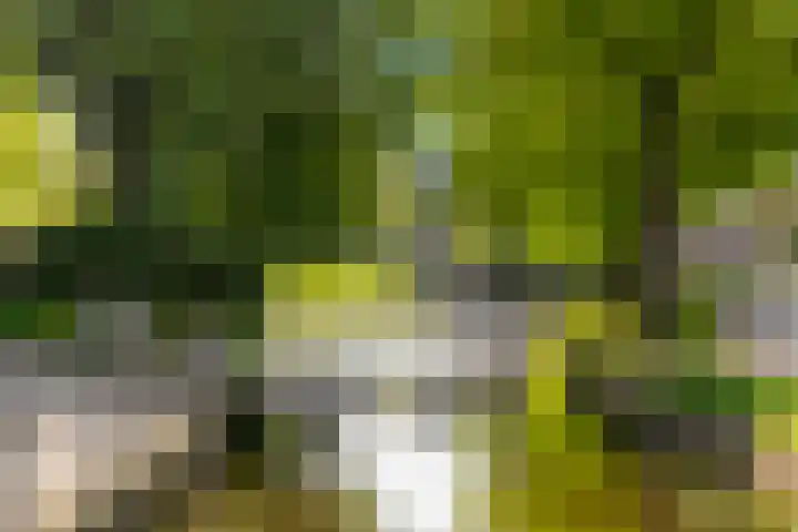 Karnemelksloot 14 a Gouda thumbnail 43