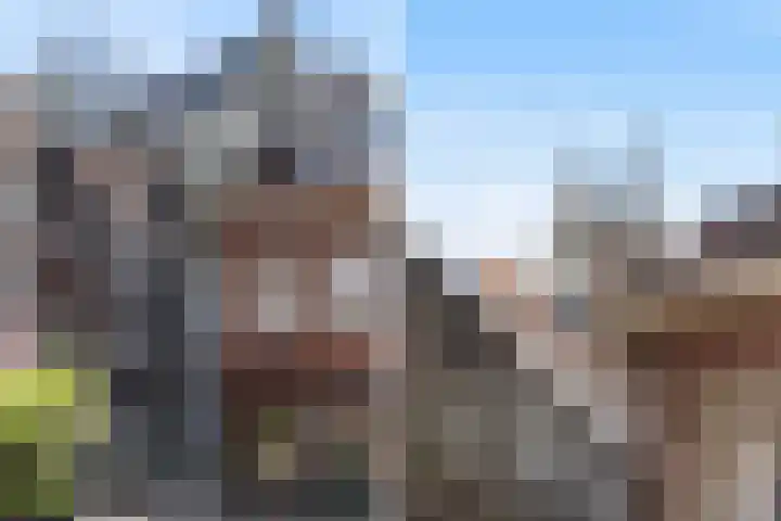 Karnemelksloot 14 a Gouda thumbnail 45