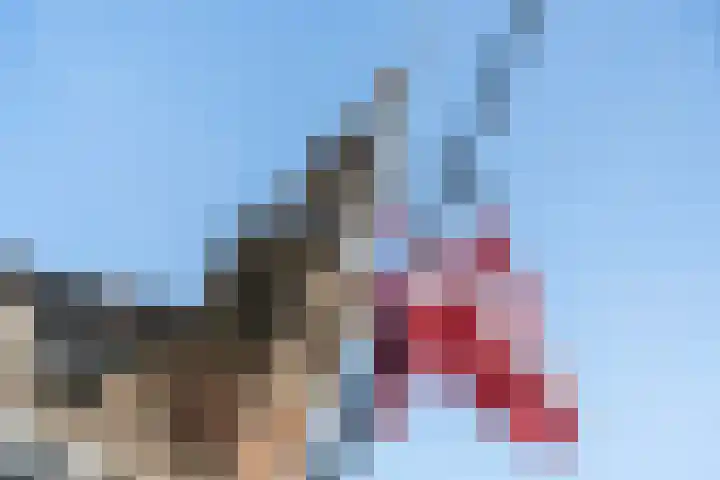 Karnemelksloot 14 a Gouda thumbnail 49