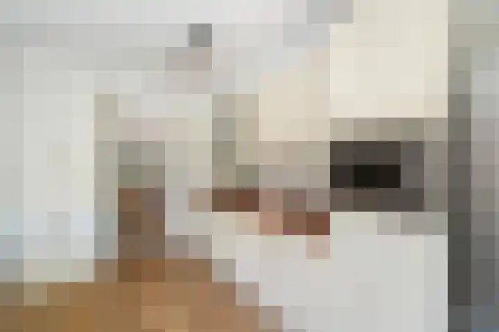 Karnemelksloot 14 a Gouda thumbnail 6