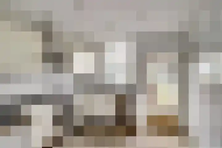 Karnemelksloot 151 Gouda thumbnail 11