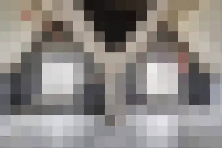 Karnemelksloot 151 Gouda thumbnail 17