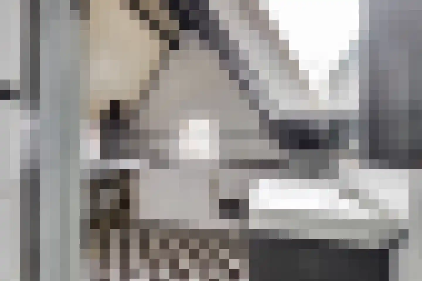 Karnemelksloot 151 Gouda thumbnail 21