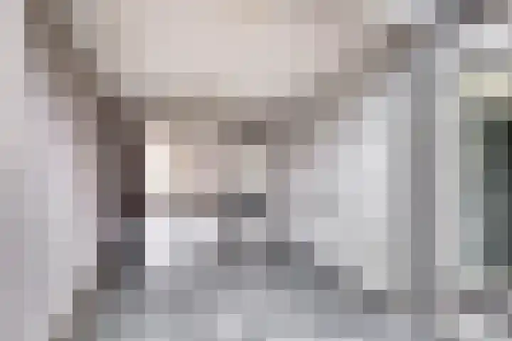 Karnemelksloot 151 Gouda thumbnail 4