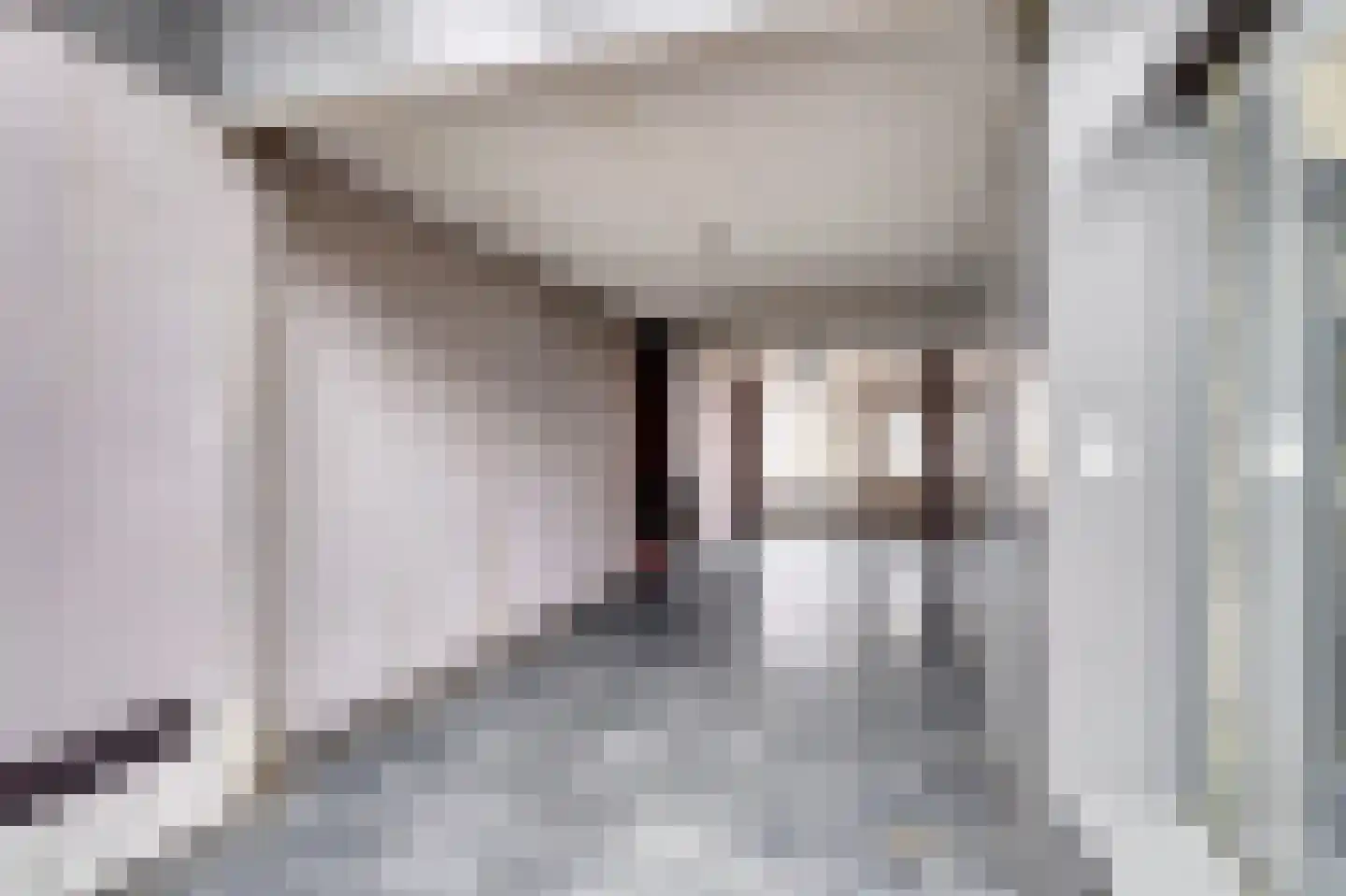 Karnemelksloot 151 Gouda thumbnail 8