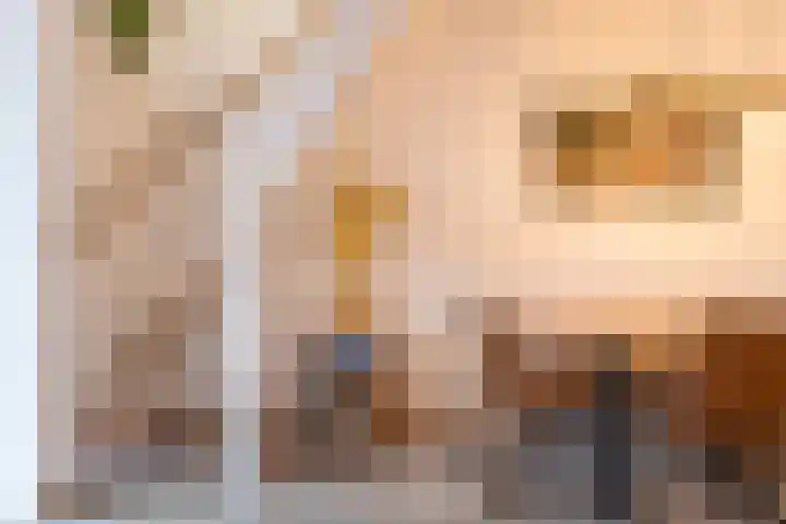 Karnemelksloot 177 Gouda thumbnail 10