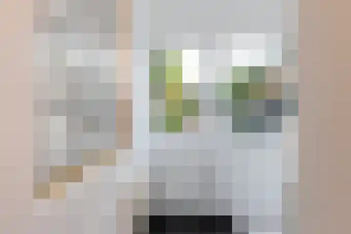 Karnemelksloot 177 Gouda thumbnail 19