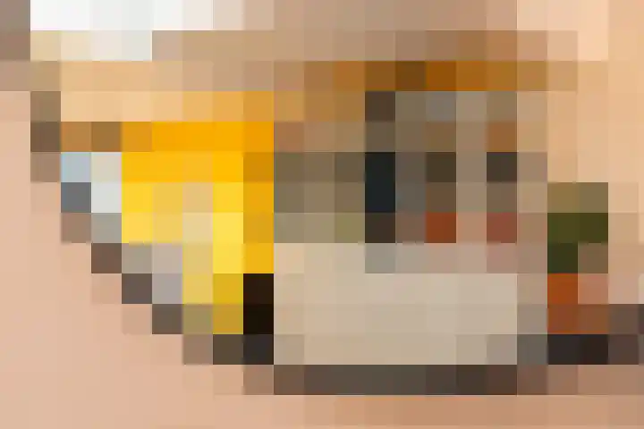 Karnemelksloot 177 Gouda thumbnail 23
