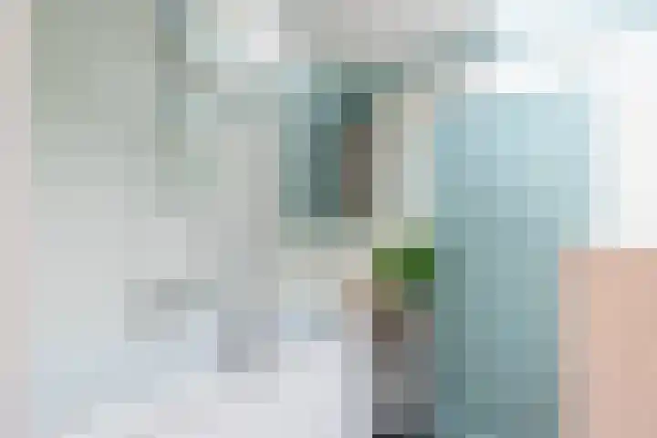 Karnemelksloot 177 Gouda thumbnail 30