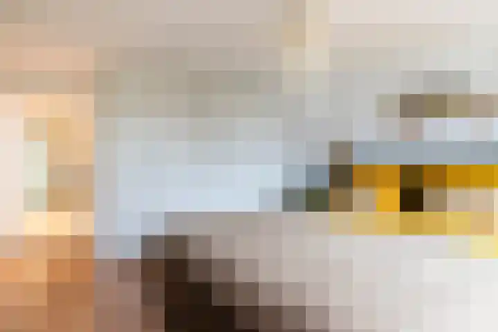 Karnemelksloot 177 Gouda thumbnail 39