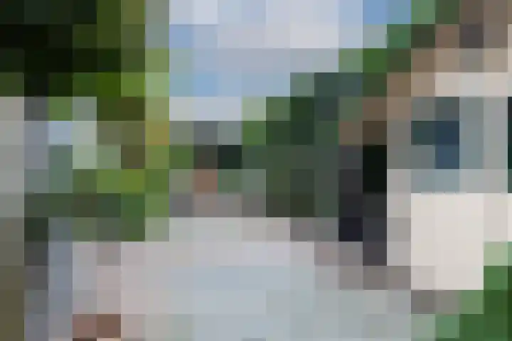 Karnemelksloot 177 Gouda thumbnail 4