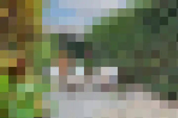 Karnemelksloot 177 Gouda thumbnail 46