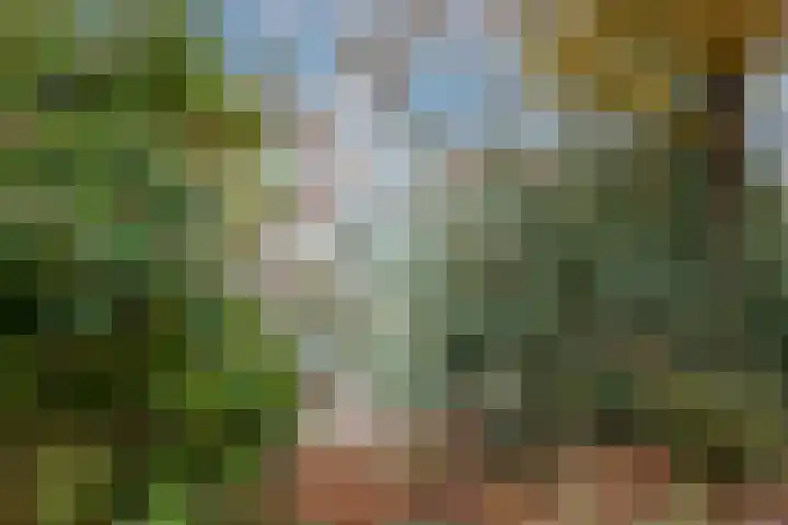 Karnemelksloot 177 Gouda thumbnail 50