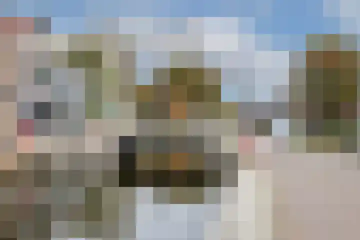 Karnemelksloot 177 Gouda thumbnail 51
